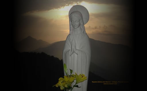 Catequesis mariana: La santísima Virgen María y la vida consagrada