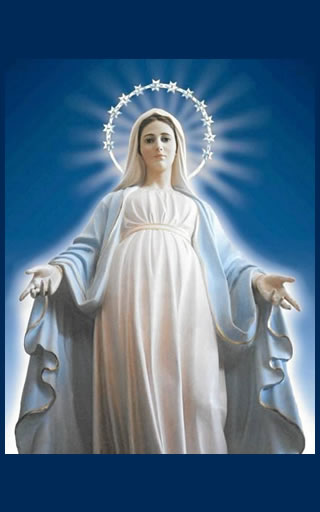 Santa María Virgen, Reina